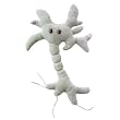 GIANT Microbes - Brain Cell (Neuron)