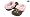 Chocolate/Cotton Candy