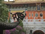 Po Lin Monastery, Lantau Island, Hong Kong, China Photographic Poster Print by Amanda Hall, 40x30