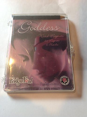 Fridge Fun 301 Magnetic Goddess Word Magnets Refrigerator Pencil and Blanks