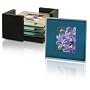 Sarah Peyton Multi Color Glass Photo Coasters  with Storage Rack