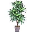 One 6' Bird Nest Artificial Palm Tree with 5 Heads
