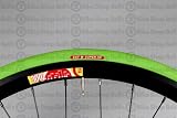 CST C740 Tire - 700 x 25, Wire Bead, Light Green/Light Green