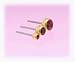 Blomdahl Gold Titanium Earrings - Garnet