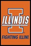 University of Illinois (Fighting Illini) Sports White Wood-Mounted Poster Print - 24 X 36