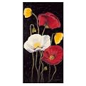 Poppies on Black II Canvas