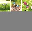 Assorted: garden stakes: 2 butterfly, 2 dragonfly, 1 bee, 1 ladybug, 6 Assorted: Assorted: garden stakes: 2 butterfly, 2 dragonfly, 1 bee, 1 ladybug, 6 Assorted: