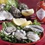 Two Dozen High Pressure Cleaned Oysters In Shell