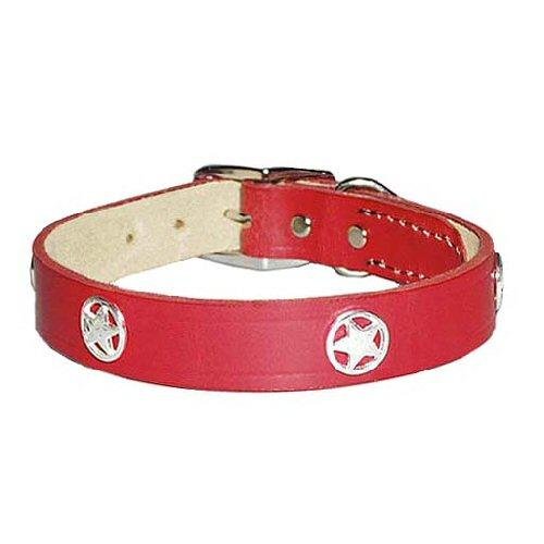 1 in. Latigo Lone Star Dog Collar model 6048 (Black , 24 in.)