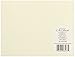 C.R. Gibson Thank You Notes, Set of 10 Boxed Cards with Envelopes -Alligator