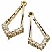 1/3 Ct.T.W. Round Brilliant Cut Diamonds, 14Kt. Yellow Gold. Diamond Fancy Earrings Jacket