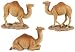 CAMEL (SET OF 3), SS-6871