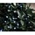 Micromark 70199 / Solar Powered LED Garden Light Kit