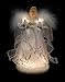 Vickerman Ice Palace Lighted White and Silver Angel Christmas Tree Topper with Clear Lights, 12
