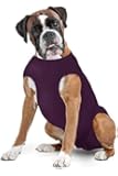 Dog Diaper Keeper - Created By A Veterinarian Specifically to Fit Your Dog - Will Not Fall Off - Sizes: S - XLL (Plum, S)