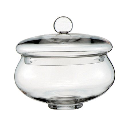 Glass Canister Or Covered Larger Size