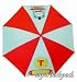 Thomas the Tank Engine Umbrella for kids