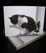 Talk to the Paw! Greeting Cards - Cat spit