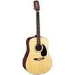 Takamine S35