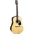 Takamine S35 Jasmine Acoustic Guitar (Natural)