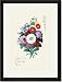 Black Framed/Matted Print 17x23, Floral Wish