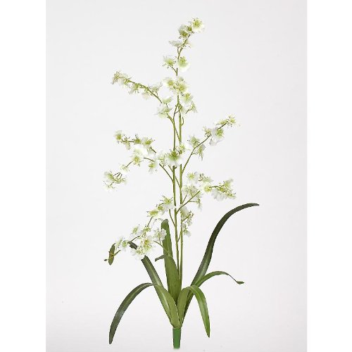 Dancing Lady Silk Orchid Flower (6 Stems)