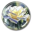 Hint of Gold - Crystal Dome Paperweight