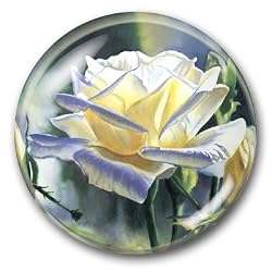 Hint of Gold - Crystal Dome Paperweight