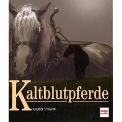 Kaltblutpferde
