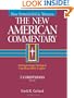 The New American Commentary Volume 29 - 2 Corinthians