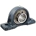 FYH UCP208-24 Pillow Block Mounted Bearing, 2 Bolt, 1-1/2" Inside Diameter, Set screw Lock, Cast Iron, Inch