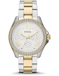 Fossil Womens AM4543 Cecile Analog Display Analog Quartz Silver Watch