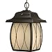 Progress Lighting P5598-20STR One-Light Cfl Hanging Lantern Featuring Antique Distressed Glass and Photocell, Antique Bronze