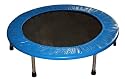 Professional Mini Trampoline/Personal Rebounder: Welded Steel Frame Construction