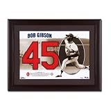 St. Louis Cardinals - Bob Gibson Lights Out Upper Deck MLB Legendary Jersey Numbers Collection