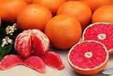 The Grand Prize, Orange-Sweet Ruby Reds, 15-pack