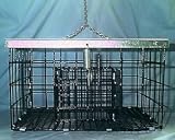 Squirrel Proof Suet Feeder