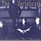 various pop-rock gems - power pop, twee, etc.