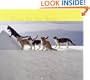 2003 Wall Cal: Cats in the Sun