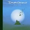 Bild des Albums von David Gilmour
