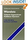 Wavelets: Calder�n-Zygmund and Multilinear Operators (Cambridge Studies in Advanced Mathematics)