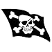 Sporting Goods : Pirate Flag Temporary Tattoos