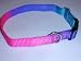 Sandia Pet Products 5/8 Purple Variegated Pattern Small Dog Collar
