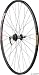 419VfxUqqcL. SL75  Wheelset Disc