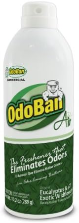 OdoBan 979061-10A12 Ten Ounce Air Freshener Spray