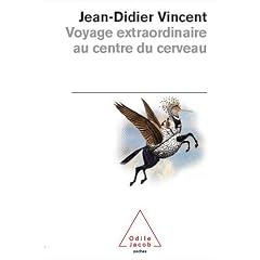 Voyage extraordinaire au centre du cerveau