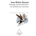Voyage extraordinaire au centre du cerveau
