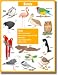 CHARTLET VERTEBRATES: BIRDS