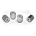 Mustang Valve Cap Set