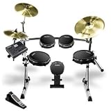 Alesis DM10 Pro Kit Professional Electronic Drumset